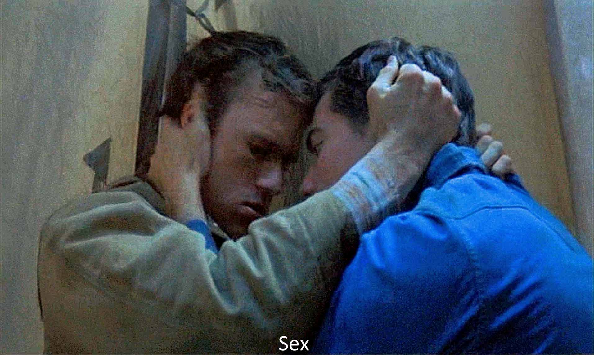 Brokeback Mountain Sex 2