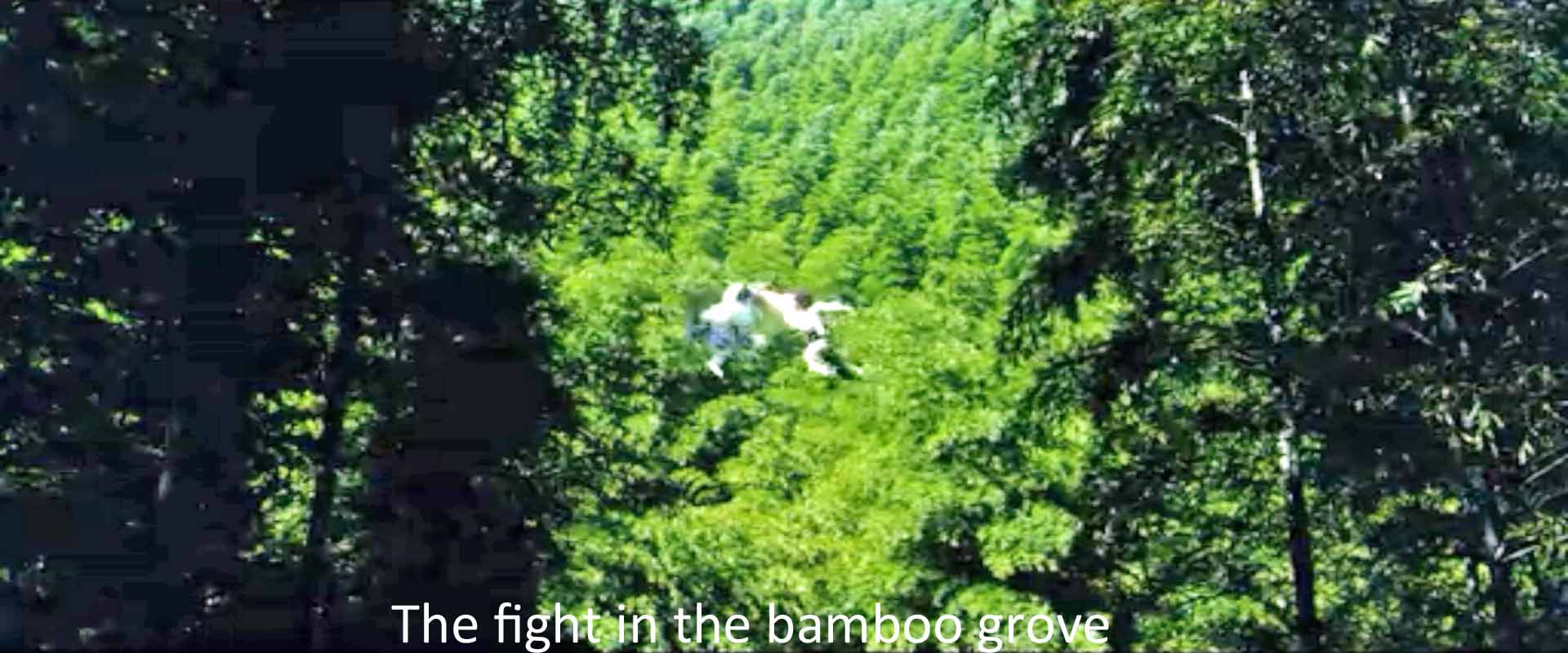 The fight in the bamboo grove