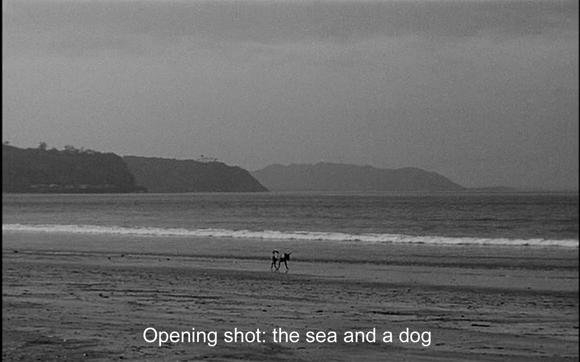 The opening shot: the sea and a dog