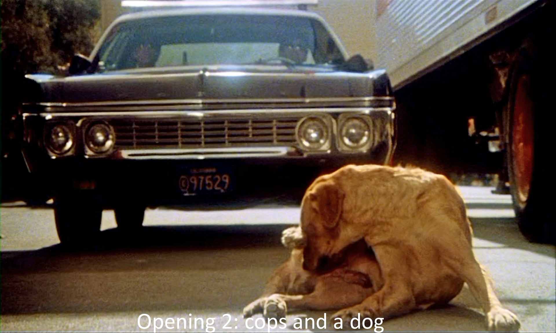 Opening 2: cops and a dog