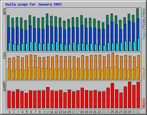 Daily usage for January 2021