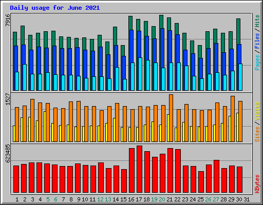 Daily usage for June 2021