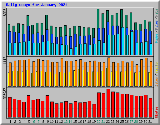 Daily usage for January 2024