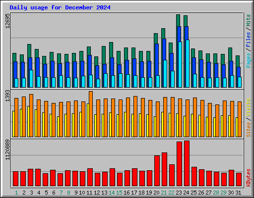 Daily usage for December 2024