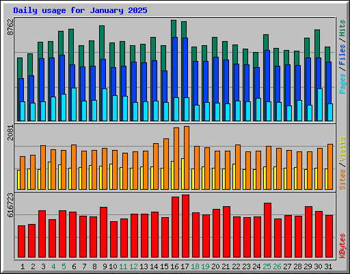 Daily usage for January 2025