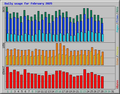 Daily usage for February 2025