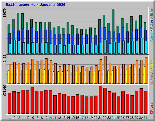 Daily usage for January 2026