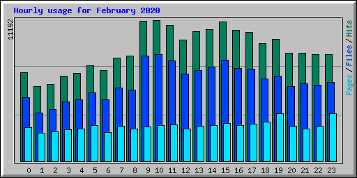 Hourly usage for February 2020