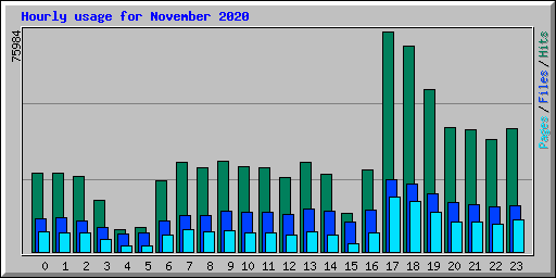 Hourly usage for November 2020