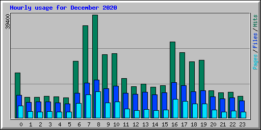 Hourly usage for December 2020