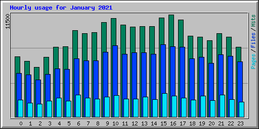 Hourly usage for January 2021