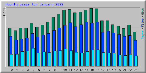 Hourly usage for January 2022