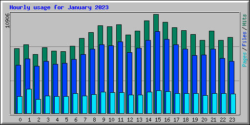 Hourly usage for January 2023