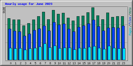 Hourly usage for June 2023