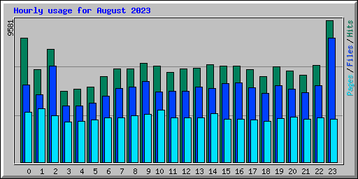 Hourly usage for August 2023