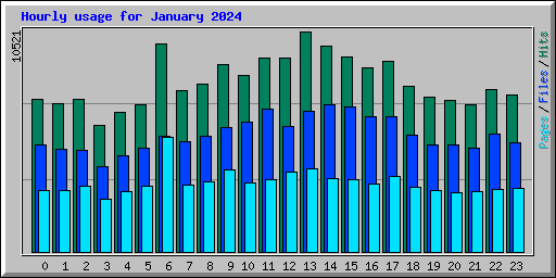 Hourly usage for January 2024