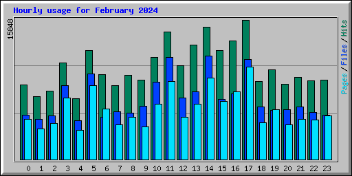 Hourly usage for February 2024
