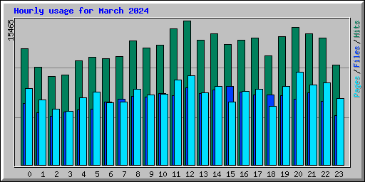Hourly usage for March 2024