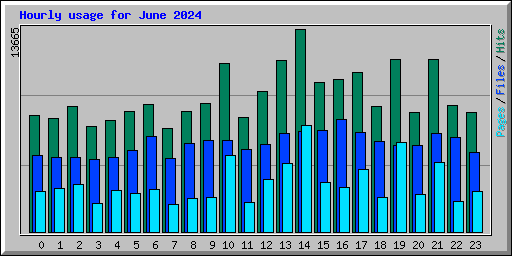 Hourly usage for June 2024