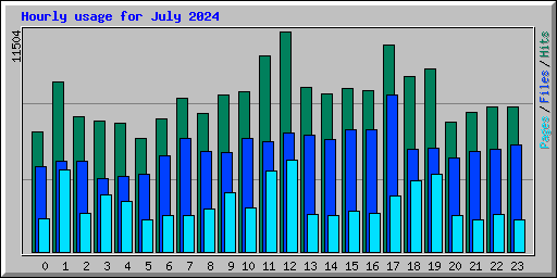 Hourly usage for July 2024