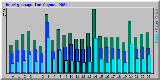 Hourly usage for August 2024