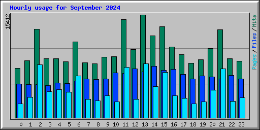 Hourly usage for September 2024
