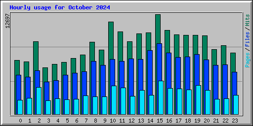 Hourly usage for October 2024