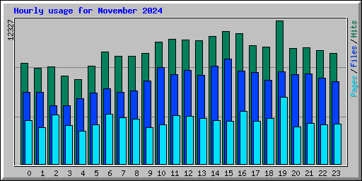 Hourly usage for November 2024
