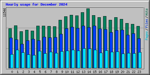 Hourly usage for December 2024