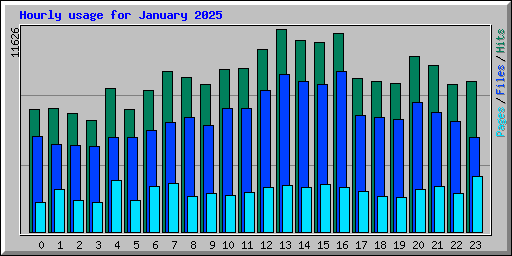 Hourly usage for January 2025