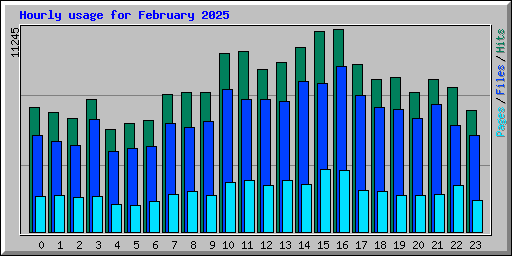 Hourly usage for February 2025