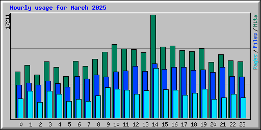 Hourly usage for March 2025