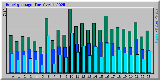 Hourly usage for April 2025