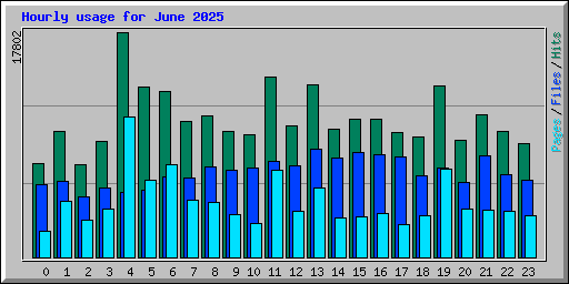 Hourly usage for June 2025