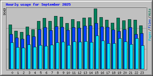 Hourly usage for September 2025