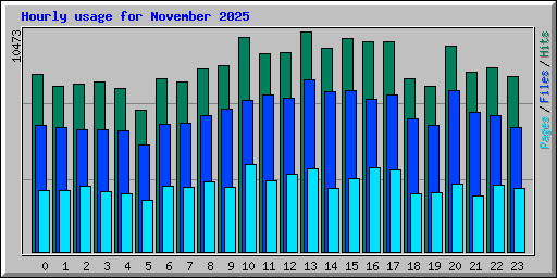 Hourly usage for November 2025