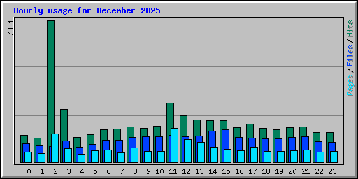Hourly usage for December 2025