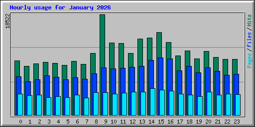 Hourly usage for January 2026