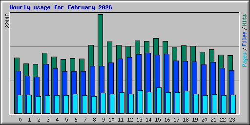 Hourly usage for February 2026