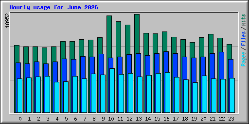 Hourly usage for June 2026