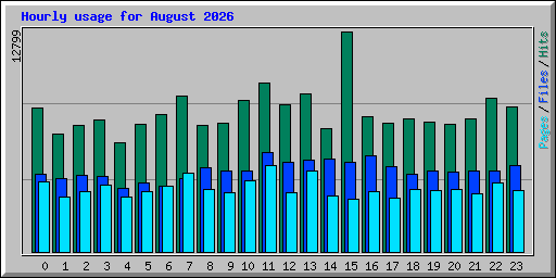Hourly usage for August 2026