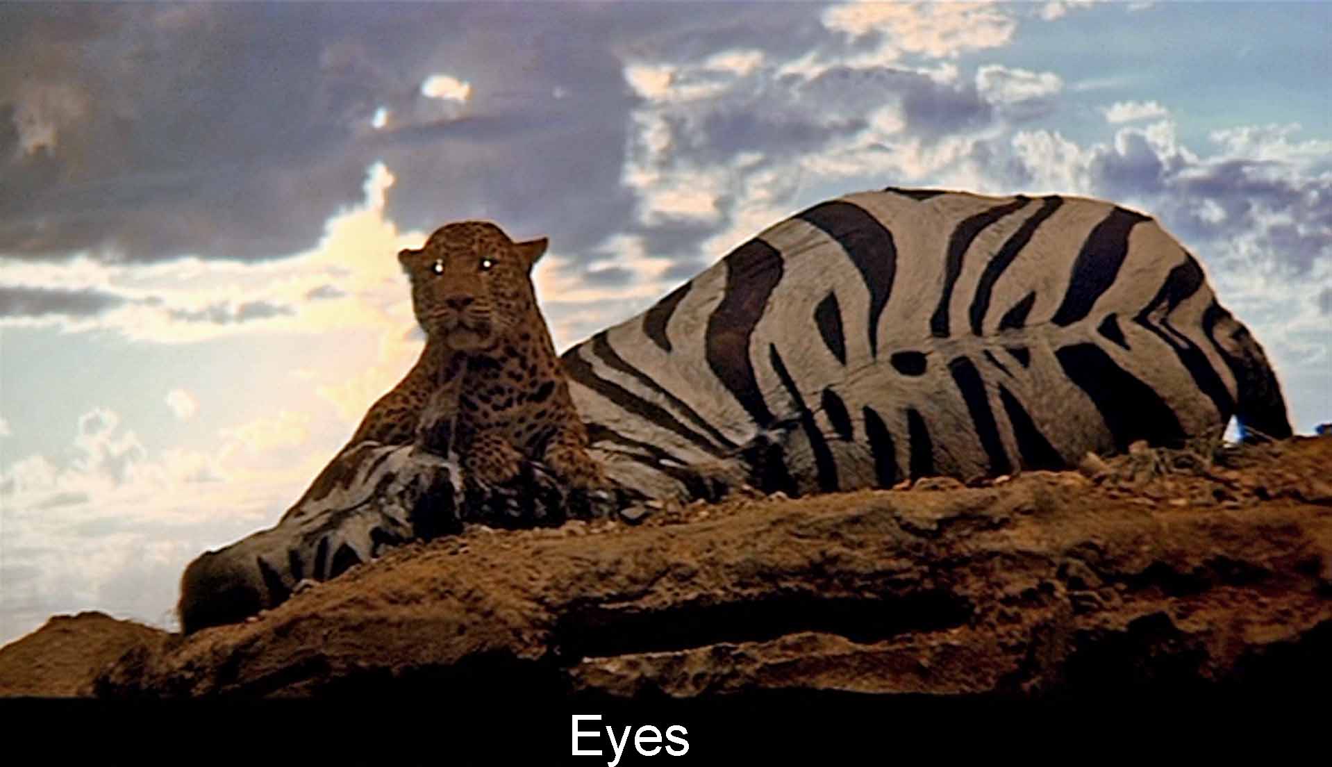 Eyes
