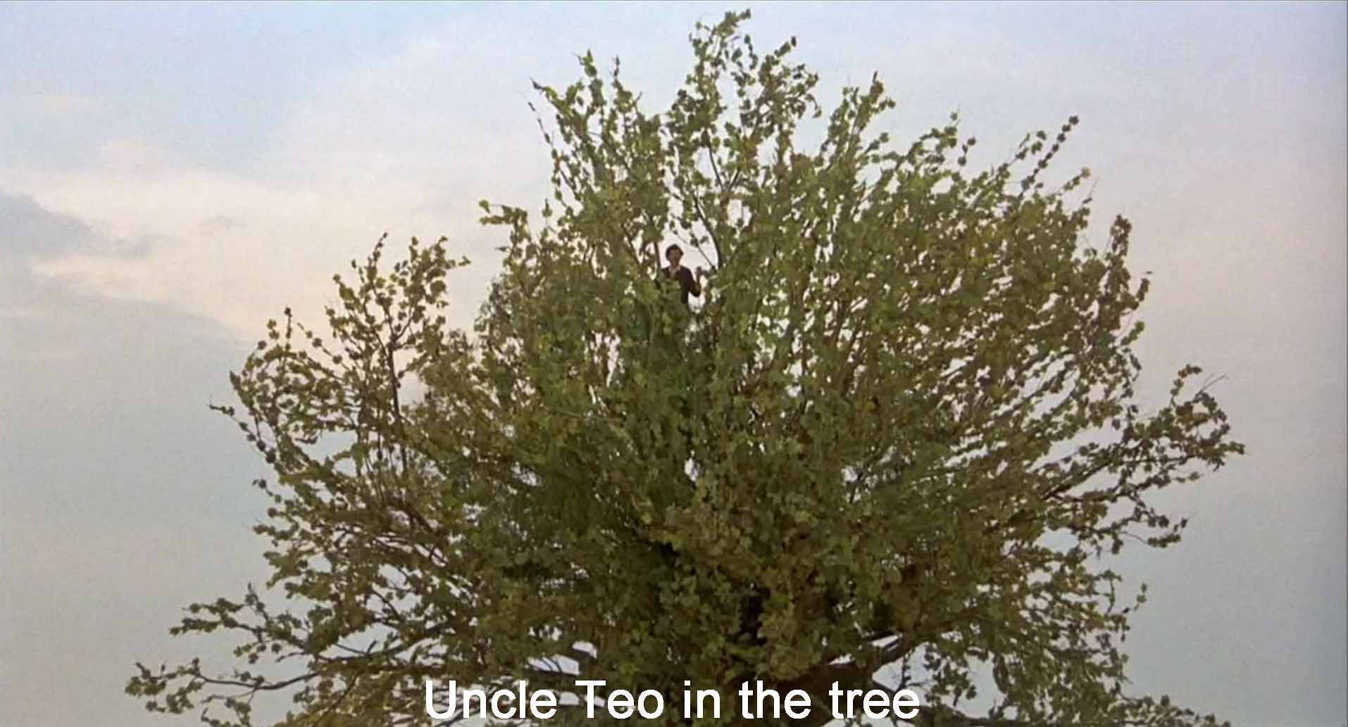 Uncle Teo in the tree
