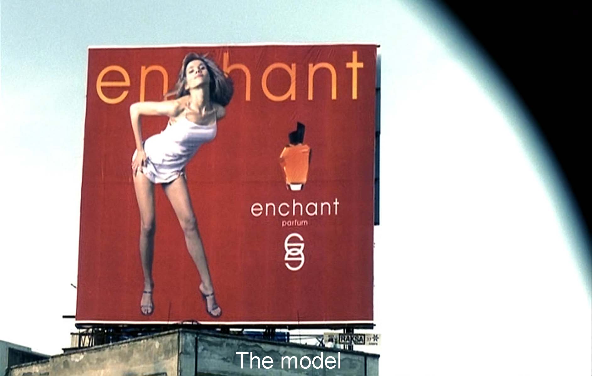 The model