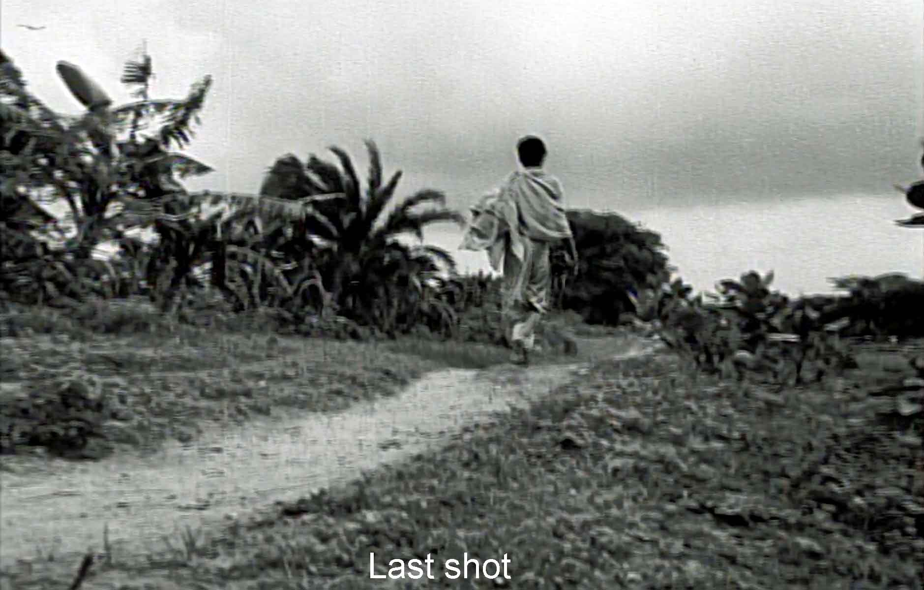 Last shot