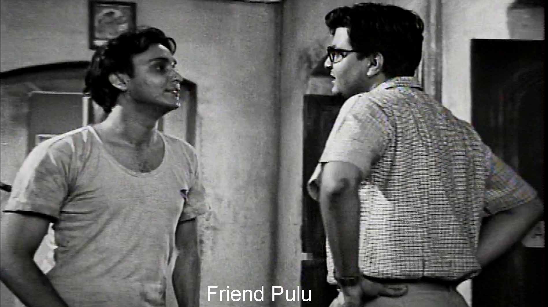 Friend Pulu