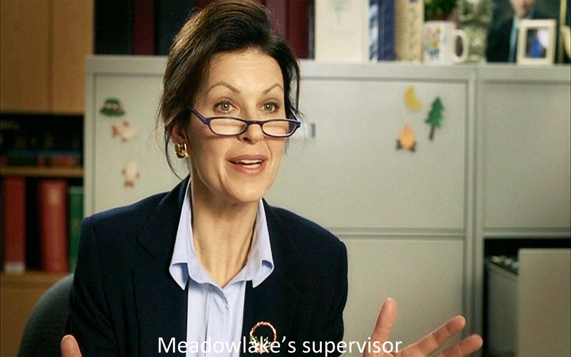 Meadowlake's supervisor