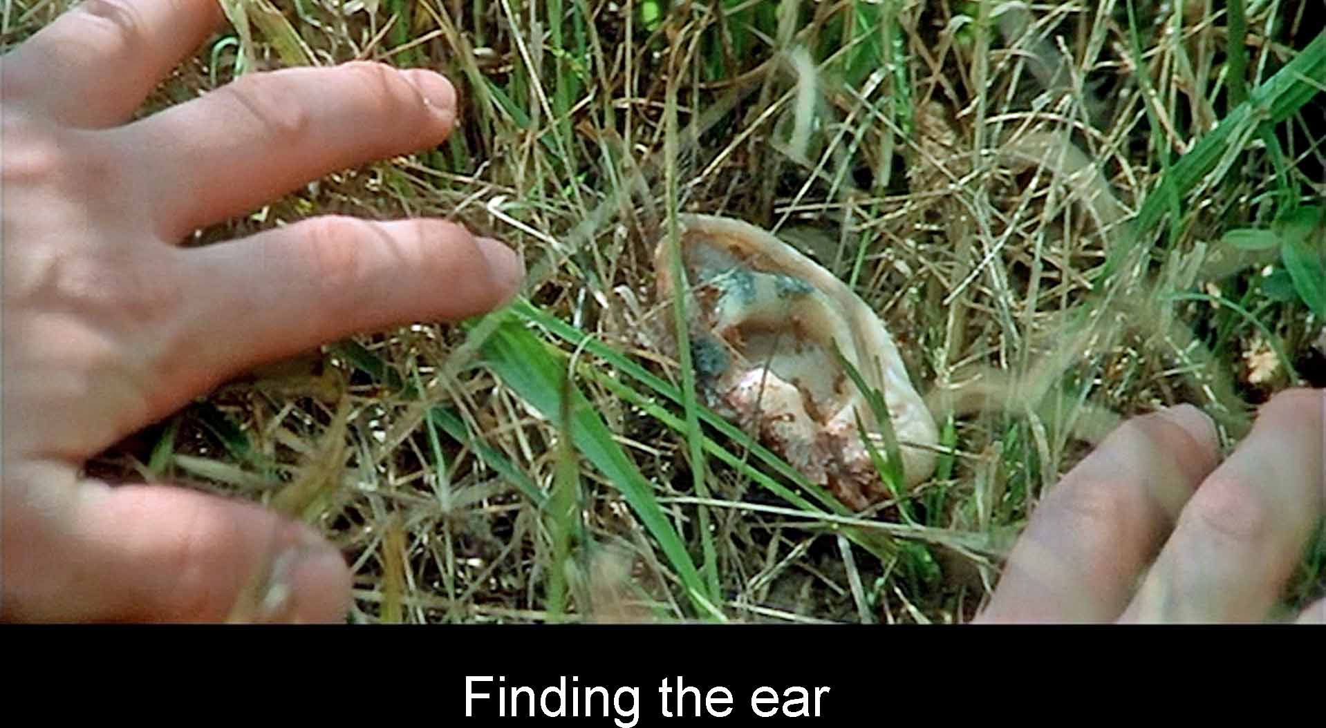 Finding the ear