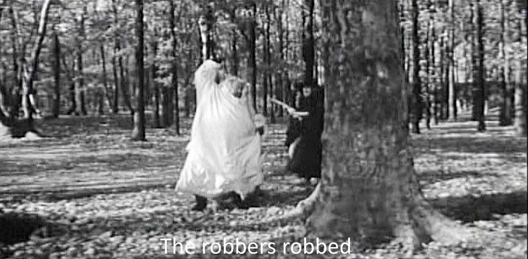 Robbers robbed