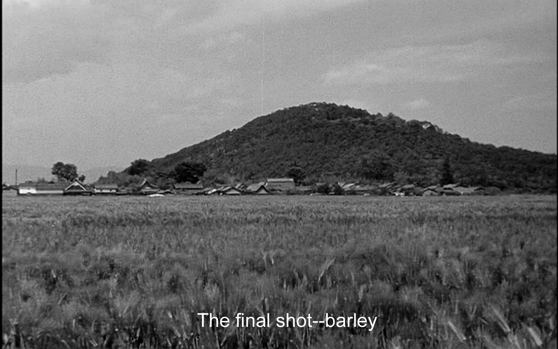 The final shot: barley